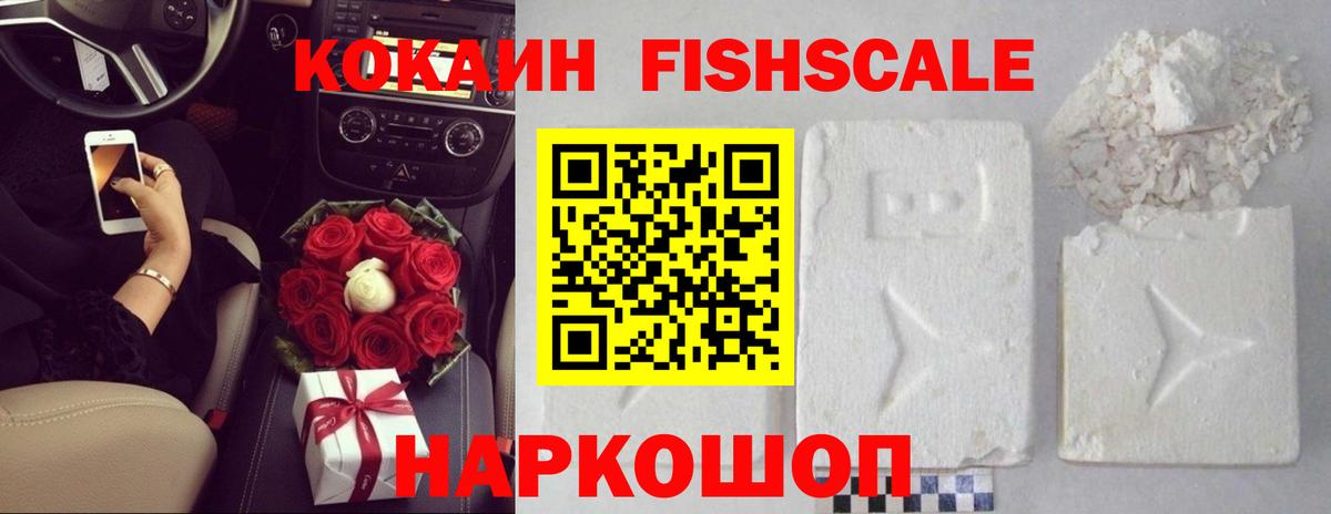 КОКАИН Fish Scale Камышлов