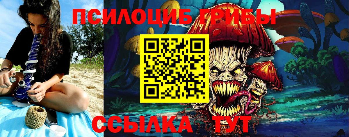 Псилоцибиновые грибы ЛСД Камышлов