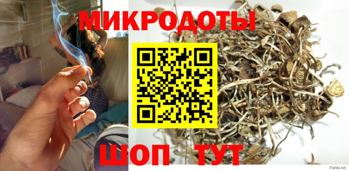 закладки  Галлюциногенные грибы Psilocybine cubensis  Галлюциногенные грибы прущие грибы  Вход с VPN  Камышлов 